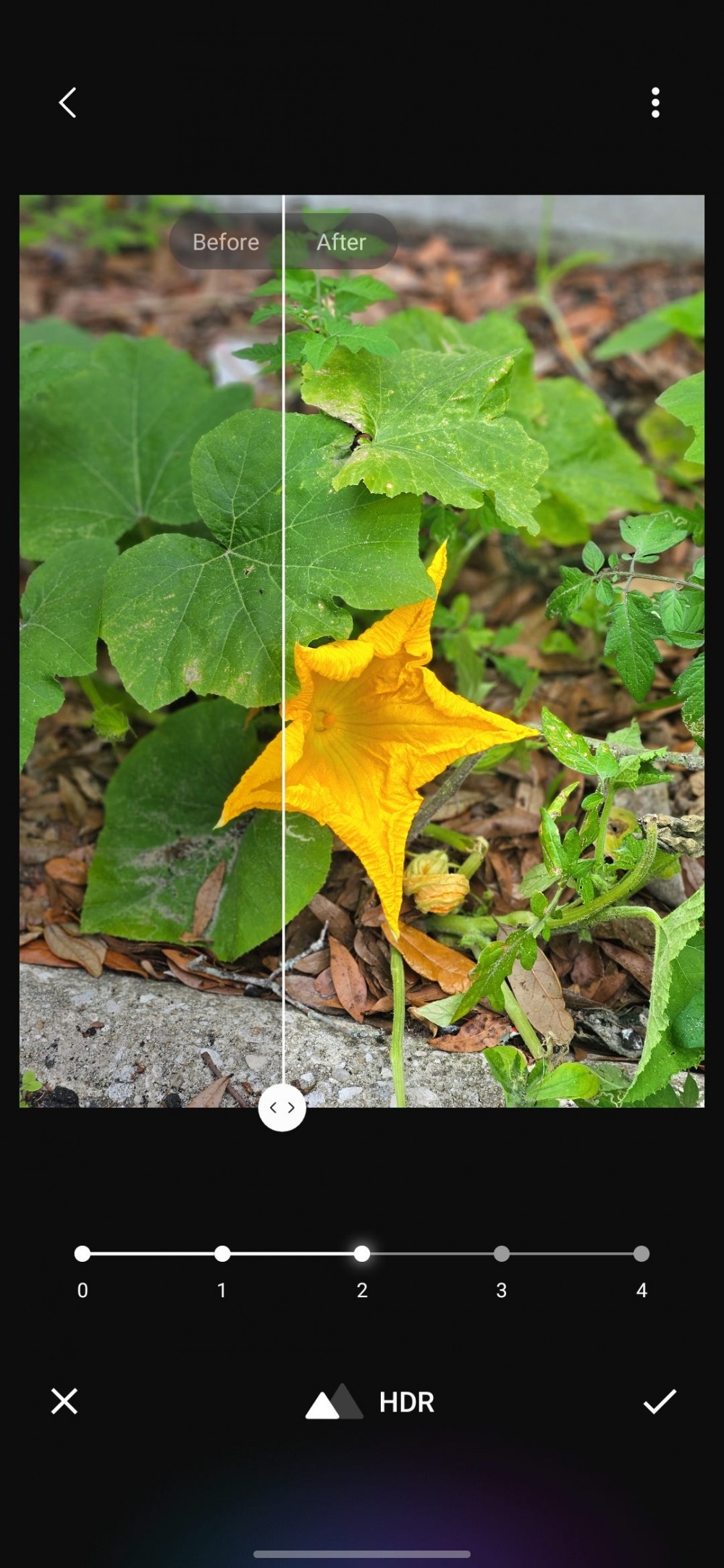 Using the HDR effect on a photo of a pumpkin flower in Galaxy Enhance X.