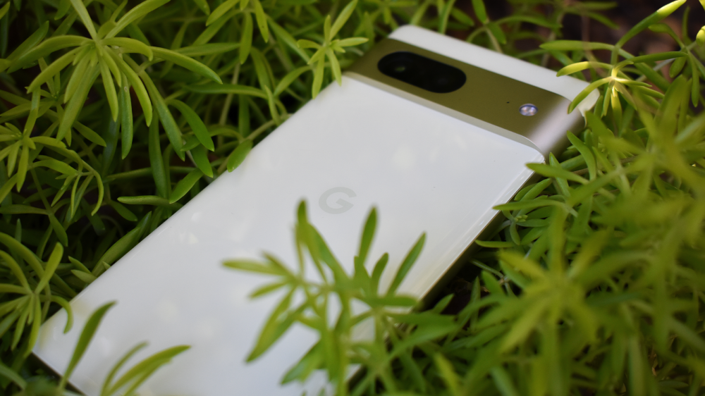 Google Pixel 7 laying in the grass